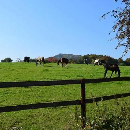Haus Seeblick Am