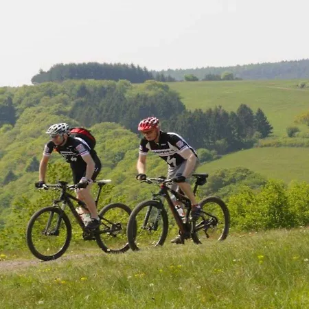 Hotel Seeblick Obermaubach Hotel