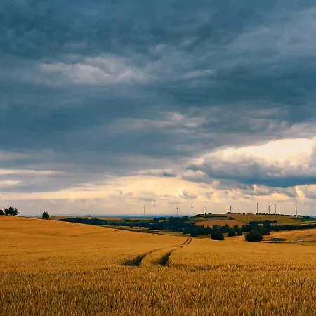 Green Seeblick Hotel am See Obermaubach