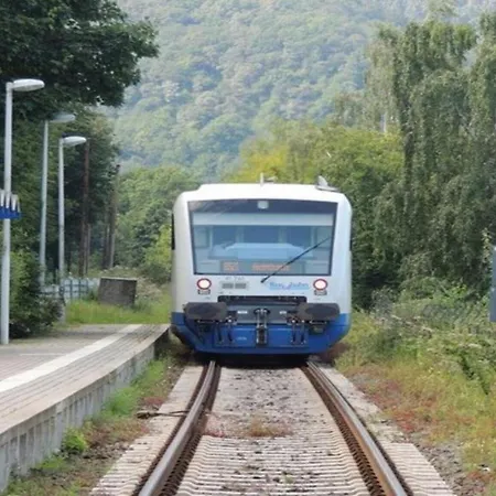 Green Seeblick Hotel am See
