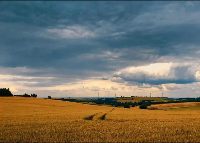 Seeblick 3* Obermaubach